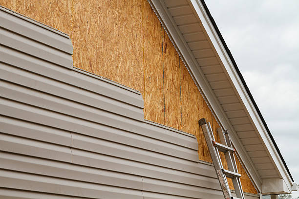 Professional Wood Siding technician working in Starr, SC